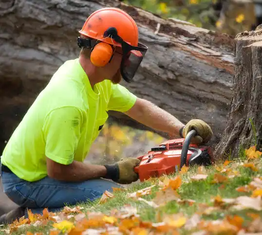 tree services Bogue Chitto